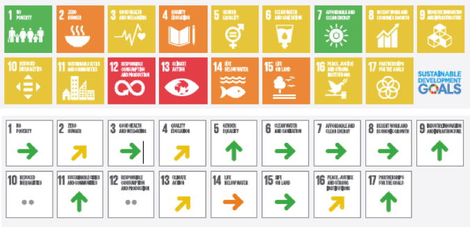 Fig 1. Despite ranking #1, Sweden still faces major challenges in achieving the SDGs
