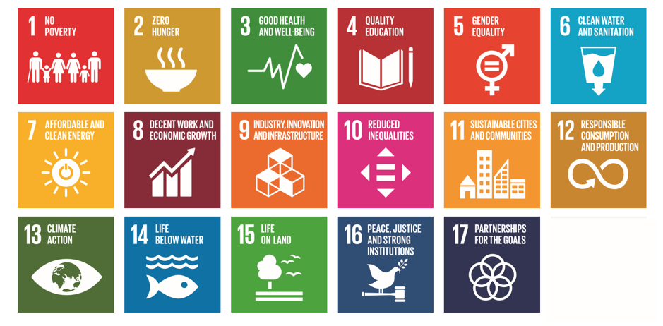 The Sustainable Development Goals (SDGs)